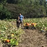 Cherry Rock Farms photo
