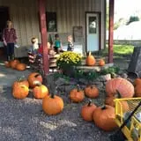 Cherry Rock Farms photo