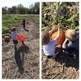 Cherry Rock Farms photo