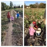 Cherry Rock Farms photo