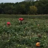 Cherry Rock Farms photo