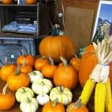 Cherry Rock Farms photo