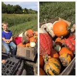 Cherry Rock Farms photo