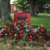 Stuart's Fruit Farm photo