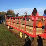 Ramsey's Farm photo