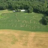 Ramsey's Farm photo