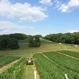 Ramsey's Farm photo