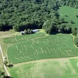 Ramsey's Farm photo