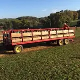 Ramsey's Farm photo