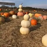 Ramsey's Farm photo