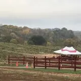 Ramsey's Farm photo
