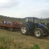 Ramsey's Farm photo