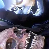 Acres of Terror photo