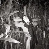 Acres of Terror photo