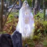 New England Curiosities Walking Tours photo