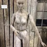 New England Curiosities Walking Tours photo