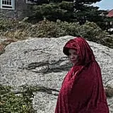 New England Curiosities Walking Tours photo