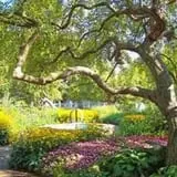 New England Curiosities Walking Tours photo