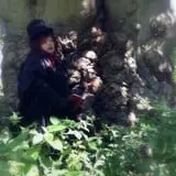 New England Curiosities Walking Tours photo