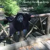 New England Curiosities Walking Tours photo