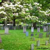 New England Curiosities Walking Tours photo