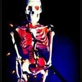 New England Curiosities Walking Tours photo