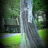 New England Curiosities Walking Tours photo