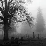 New England Curiosities Walking Tours photo