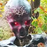 Shady Rest Haunt