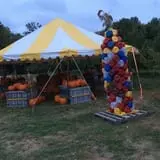 Apple Hill Farm photo