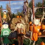 Apple Hill Farm photo