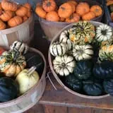 Apple Hill Farm photo