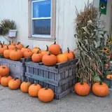 Apple Hill Farm photo