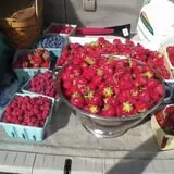 Apple Hill Farm photo