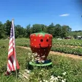 Apple Hill Farm photo