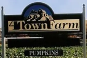 Four Town Farm PYO Pumpkins