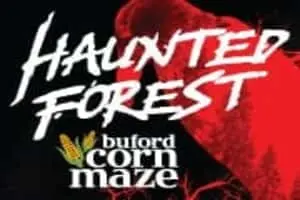 Buford Corn Maze & Haunted Forest