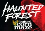 Buford Corn Maze & Haunted Forest