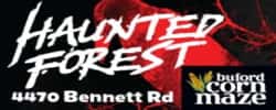 Buford Corn Maze & Haunted Forest