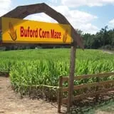 Buford Corn Maze & Haunted Forest photo