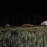 Buford Corn Maze & Haunted Forest photo
