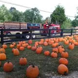 Buford Corn Maze & Haunted Forest photo