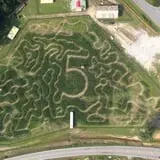 Buford Corn Maze & Haunted Forest photo