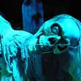 Buford Corn Maze & Haunted Forest photo
