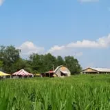 Buford Corn Maze & Haunted Forest photo