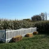 Thompsons' Hillcrest Orchard photo