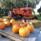 Thompsons' Hillcrest Orchard photo