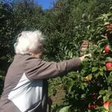 Thompsons' Hillcrest Orchard photo