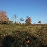 Clover Nook Farm photo
