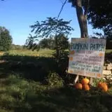 Clover Nook Farm photo